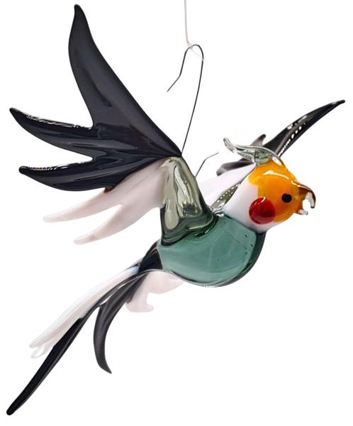 Hängevogel, Nymphensittich